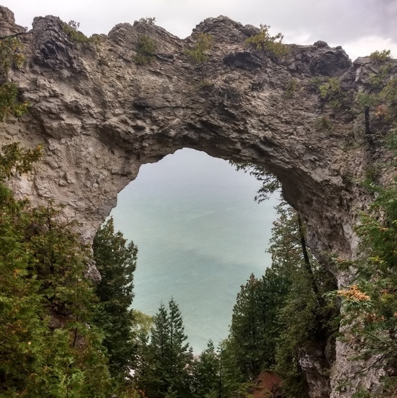 Meet your Posher, Roxy - Picture 2 of 4